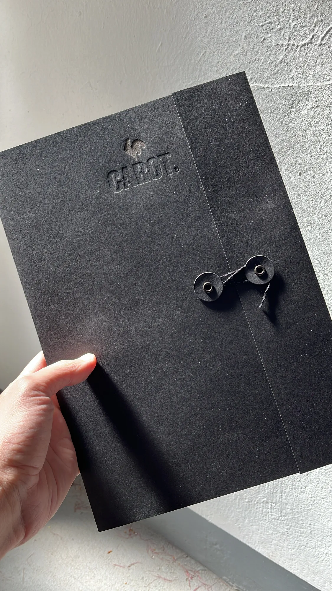 Carpeta de presentacion para proyectos impresa en relieve con solapa y cierre con hilo , calidad premium garantizada por Buena Prensa